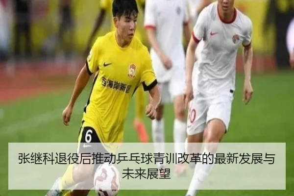 张继科退役后推动乒乓球青训改革的最新发展与未来展望